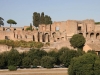 palatino-roma_2366